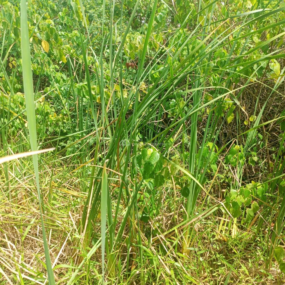 a Quarter Plot of Land in a Call to Access Estate, Silver Point Estate Badore Ajah-lekki, Badore, Ajah, Lagos, Residential Land for Sale