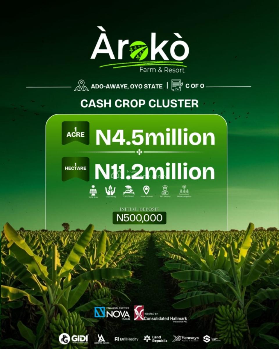 Massive Rio Investment Opportunity, Ado-awaye, Oyo State, Ibadan, Oyo, Mixed-use Land for Sale