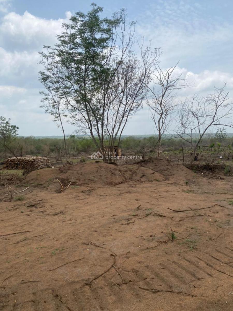 Invest Smart , Earn Big . Own a Farmland with As Low As 300k Deposit, Buy 6 Plots , Get 1 Plot Free, Flexible Payment Plan Available, Abeokuta South, Ogun, Mixed-use Land for Sale