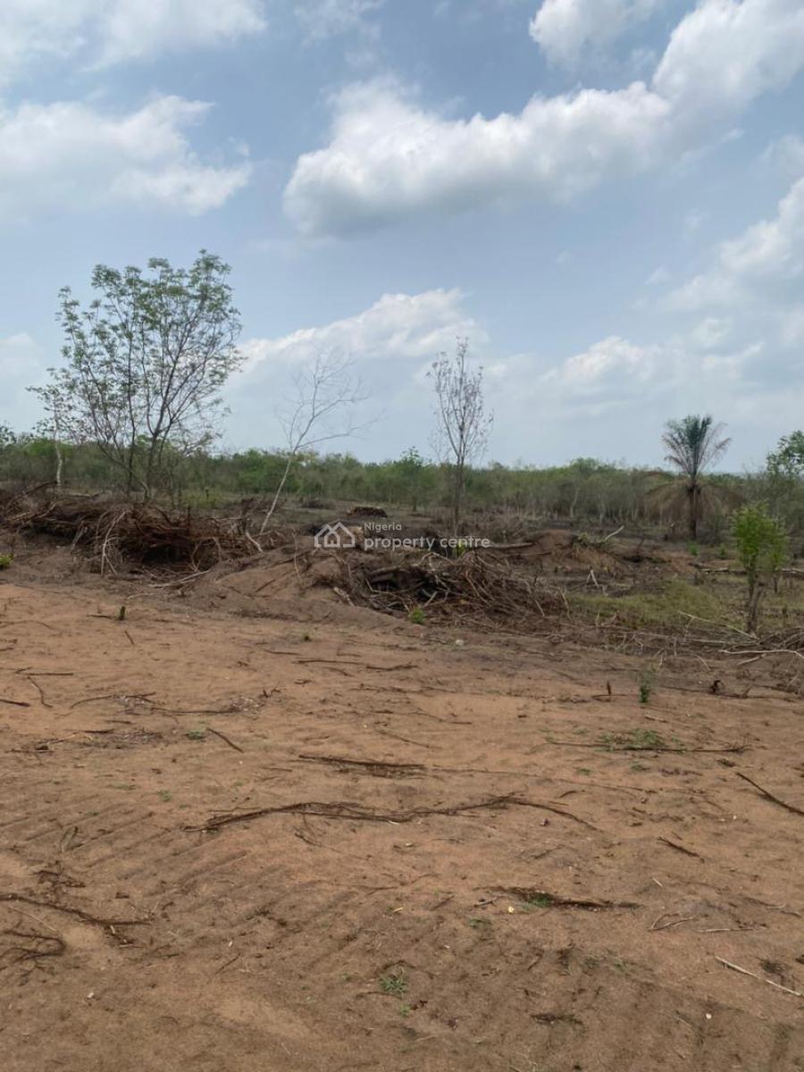 Invest Smart , Earn Big . Own a Farmland with As Low As 300k Deposit, Buy 6 Plots , Get 1 Plot Free, Flexible Payment Plan Available, Abeokuta South, Ogun, Mixed-use Land for Sale