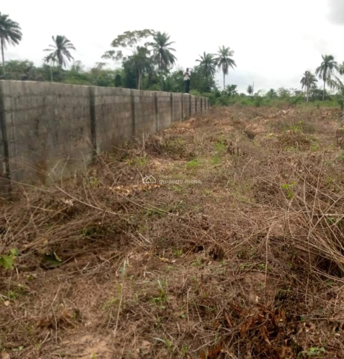 Govt Approved Estate Facing Road, Cizagold City Estate, Owerri Municipal, Imo, Mixed-use Land for Sale