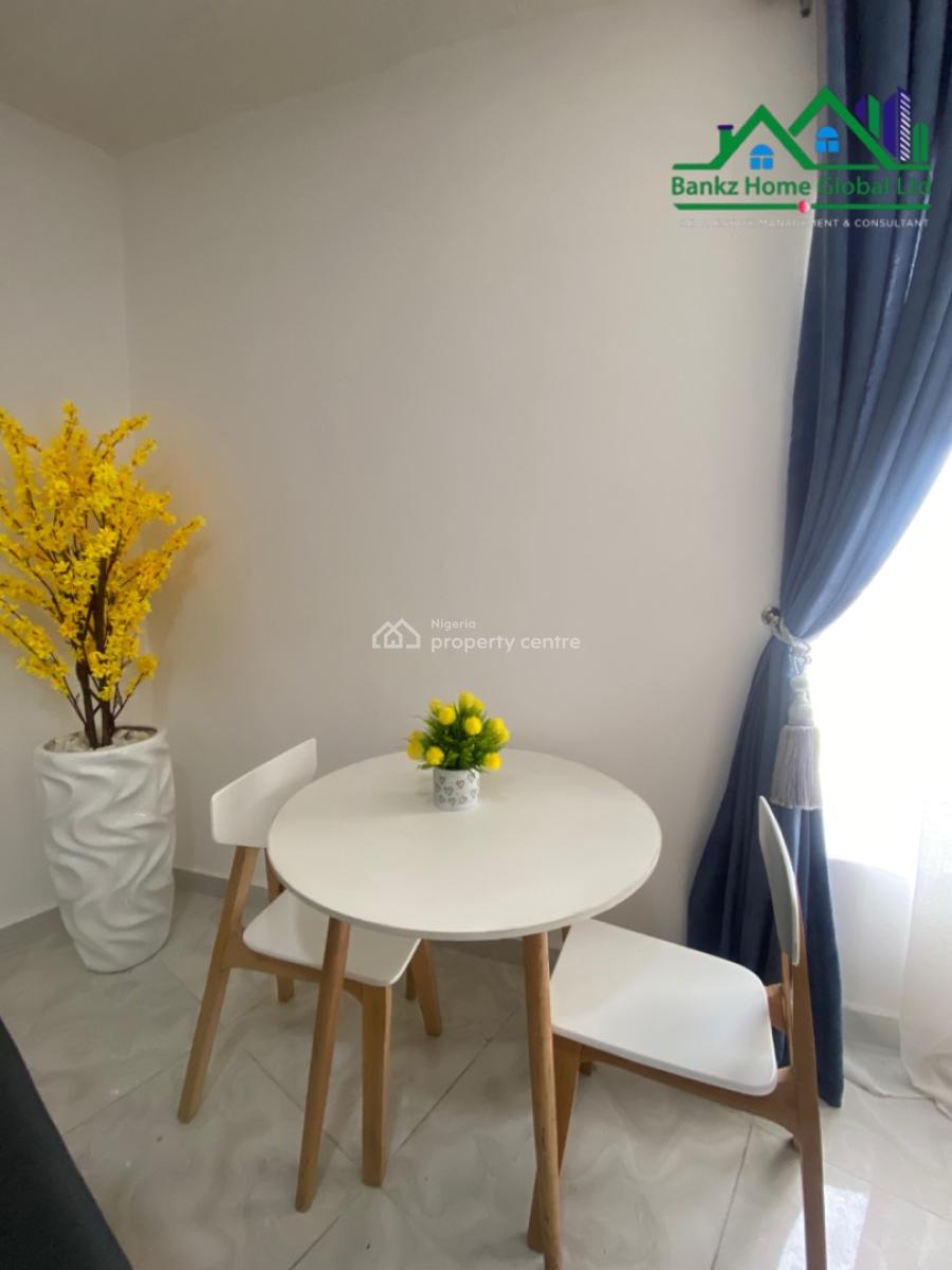 Tastefully Furnished One Bedroom Apartment, Ikate, Lekki, Lagos, Flat / Apartment for Rent