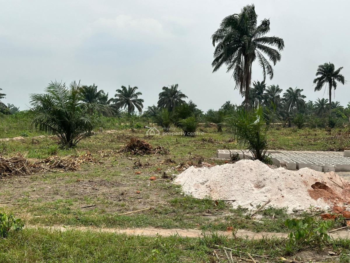 Most Cheapest Farmland with Instant Allocation, Engraced Farm City Located at Aiyepe Ijebu Along Agbowa Road, Km 46, Ogun, Commercial Land for Sale