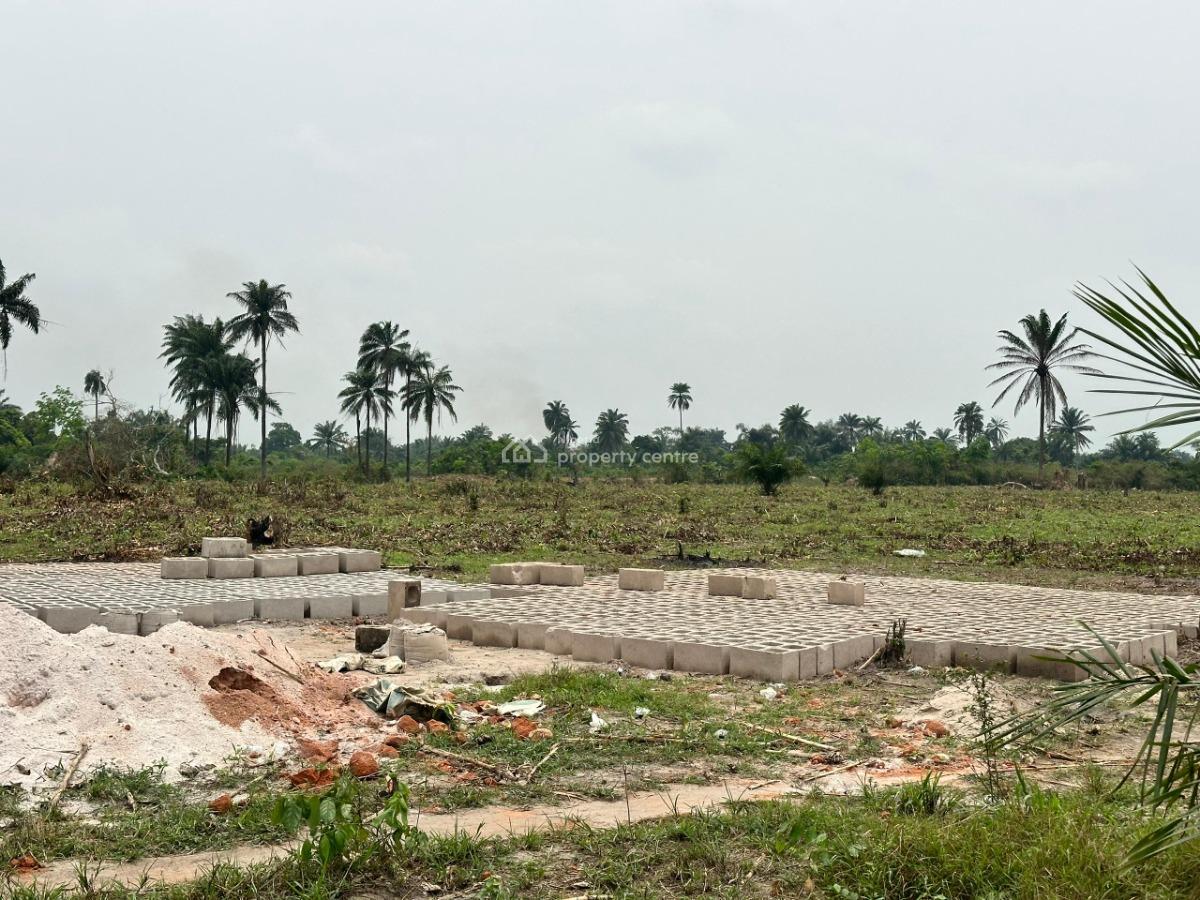 Most Cheapest Farmland with Instant Allocation, Engraced Farm City Located at Aiyepe Ijebu Along Agbowa Road, Km 46, Ogun, Commercial Land for Sale