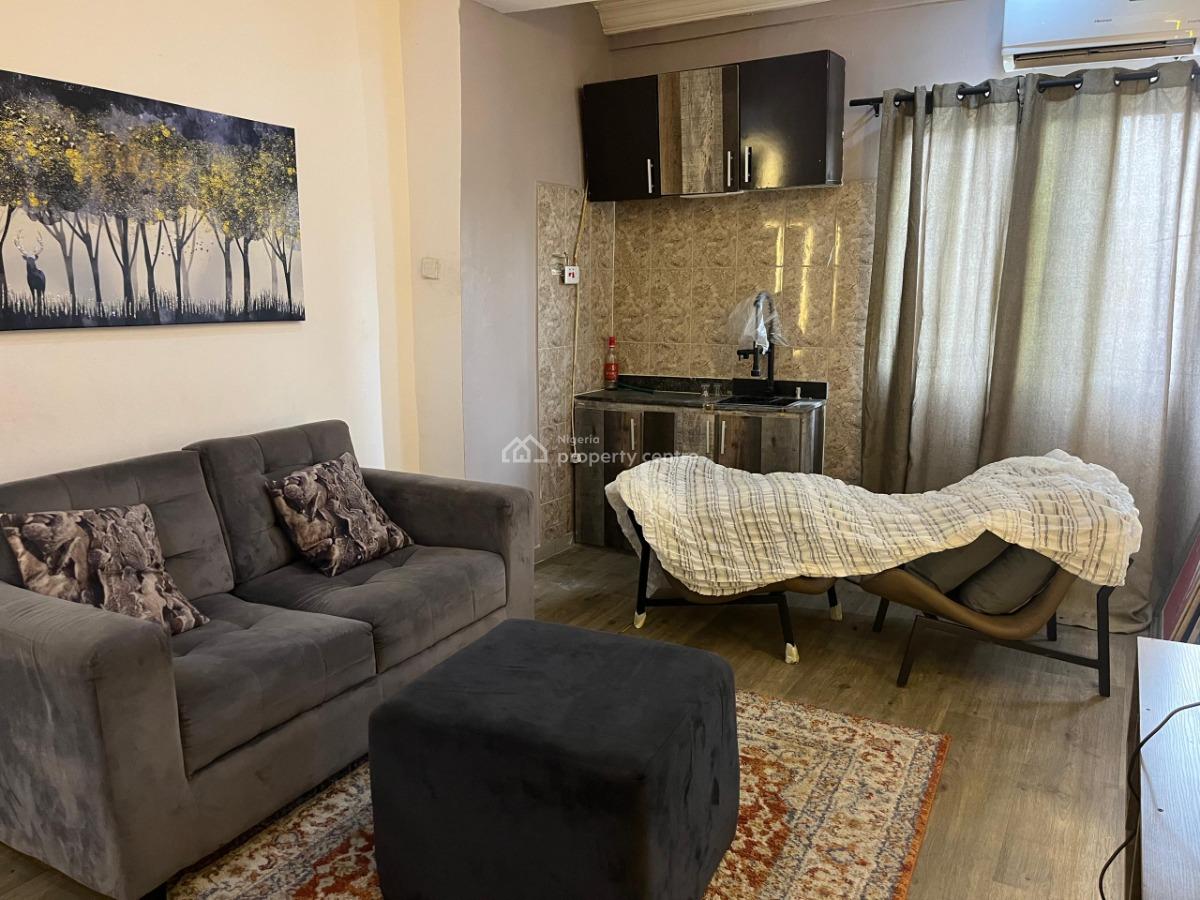Beautiful Luxurious Juicy Charming Alluring Miniflat in Lekki Phase 1, Off Freedom Way Ikate Lekki Phase 1, Lekki Phase 1, Lekki, Lagos, Mini Flat (room and Parlour) for Rent