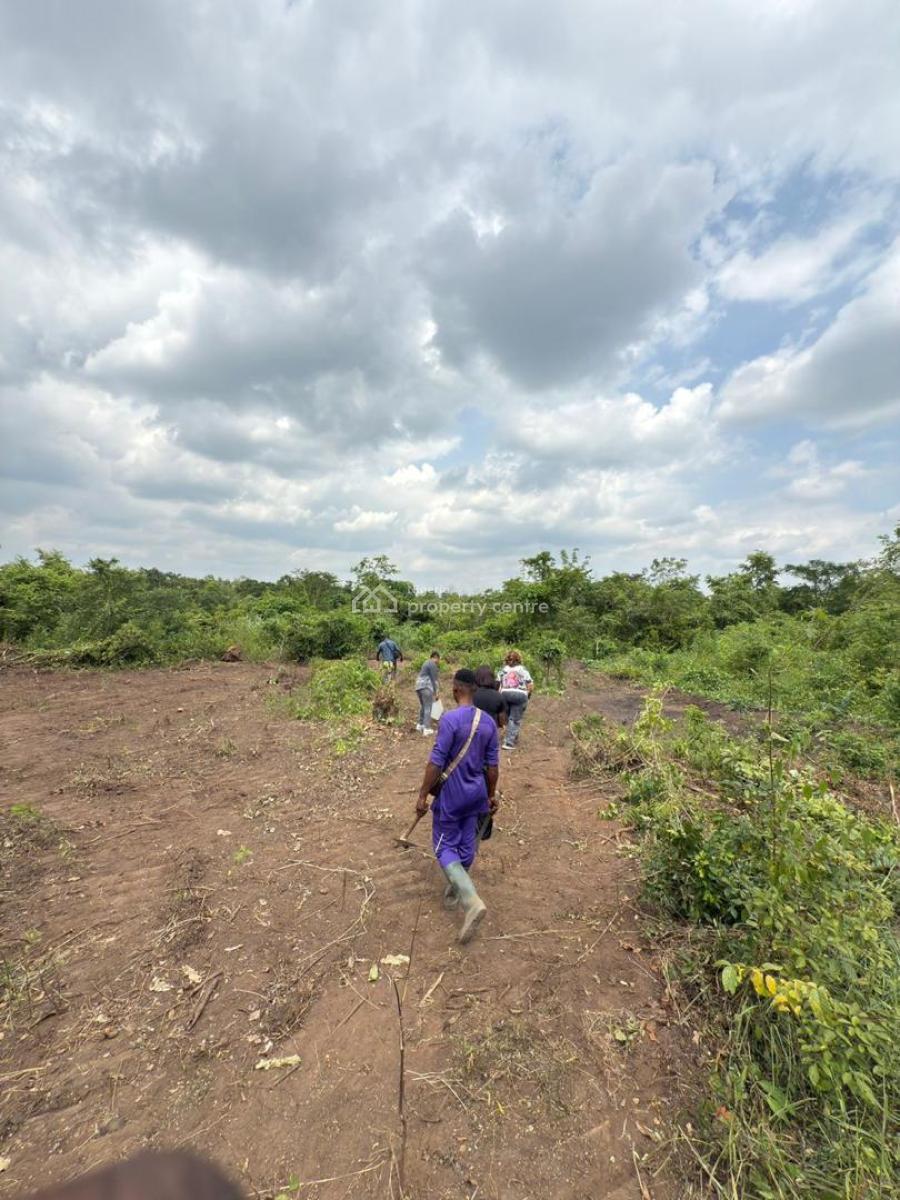 Farmland with Certificate of Occupancy ( C of O), Olamide Agro Smart City Located at Wasimi Ado Iwaye Iseyin Lga, Ibadan, Oyo, Commercial Land for Sale