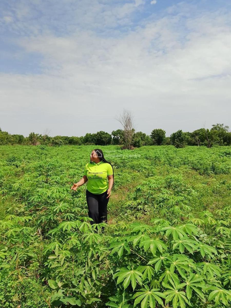Farmland with Certificate of Occupancy ( C of O), Olamide Agro Smart City Located at Wasimi Ado Iwaye Iseyin Lga, Ibadan, Oyo, Commercial Land for Sale