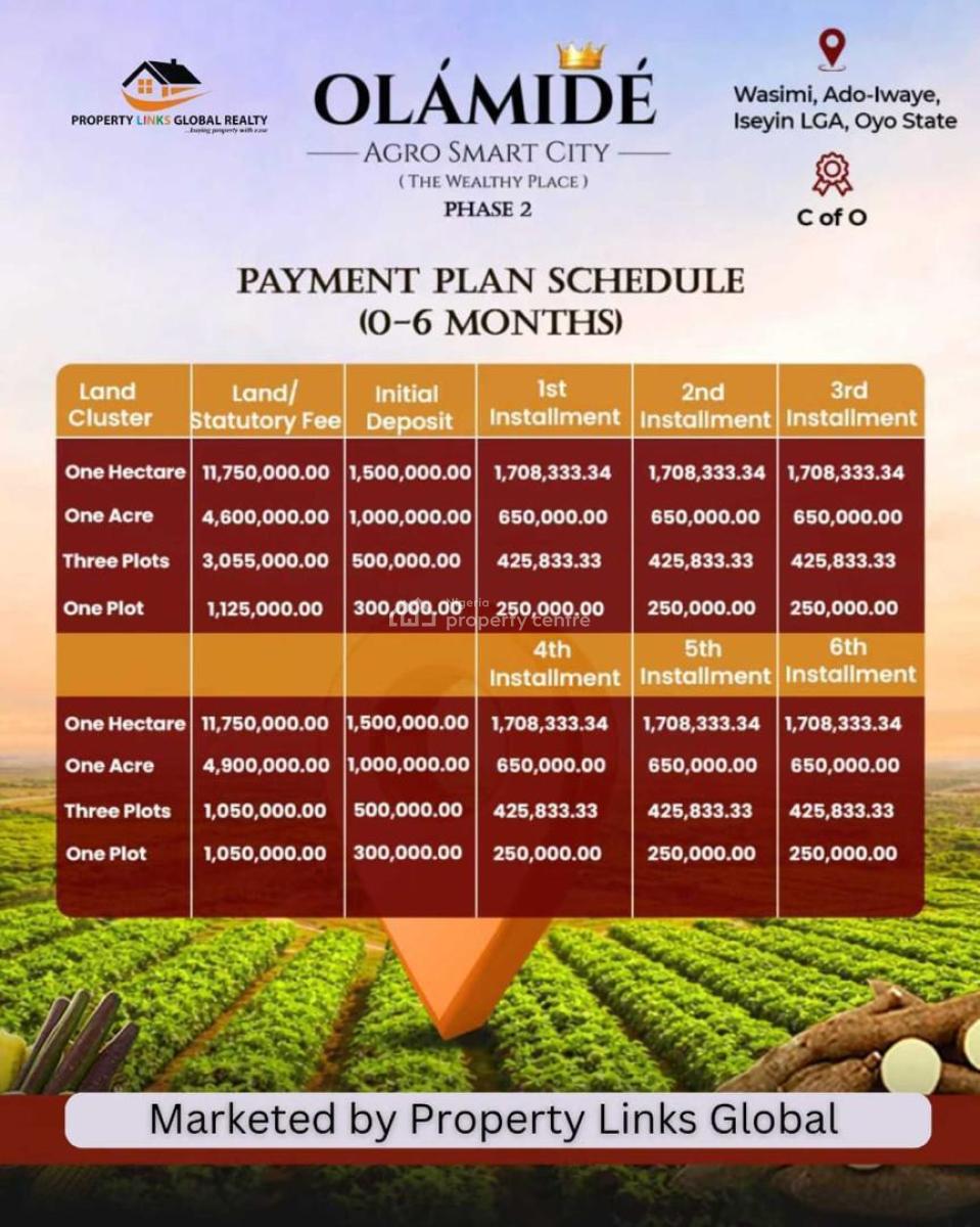 Farmland with Certificate of Occupancy ( C of O), Olamide Agro Smart City Located at Wasimi Ado Iwaye Iseyin Lga, Ibadan, Oyo, Commercial Land for Sale