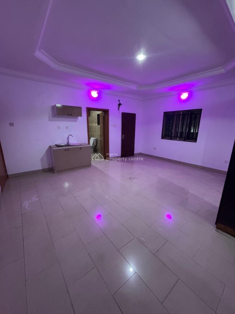 Massive 1 Bedroom Studio Apartment, Chevy View Chevron, Lekki Expressway, Lekki, Lagos, Flat / Apartment for Rent