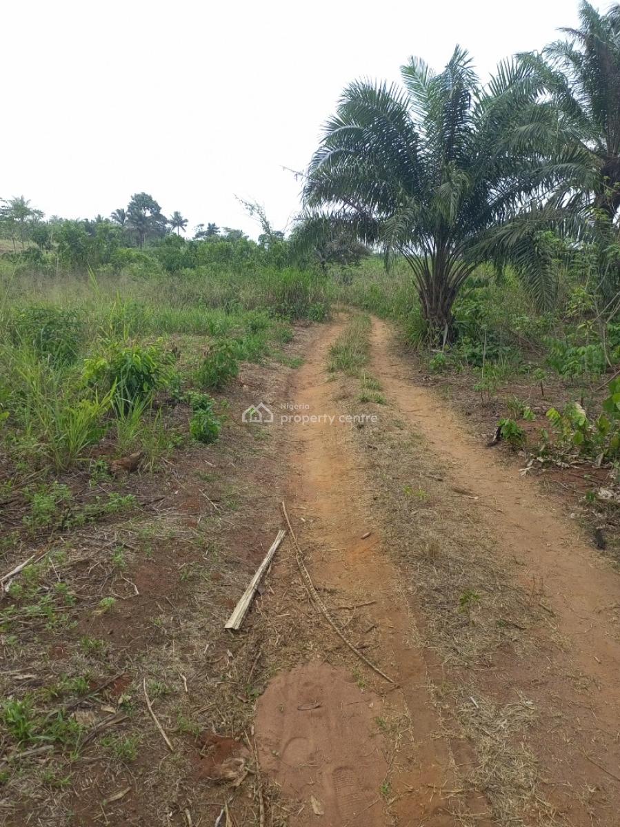 20 Plots of Land in an Estate Upper Siluko, Upper Siluko Road Via Obagie, Ovia North-east, Edo, Mixed-use Land for Sale