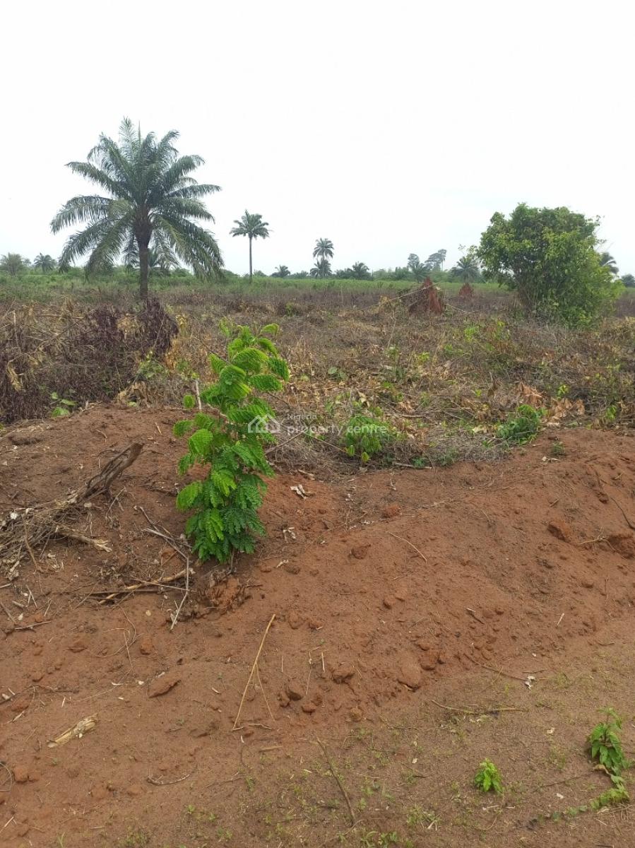 20 Plots of Land in an Estate Upper Siluko, Upper Siluko Road Via Obagie, Ovia North-east, Edo, Mixed-use Land for Sale