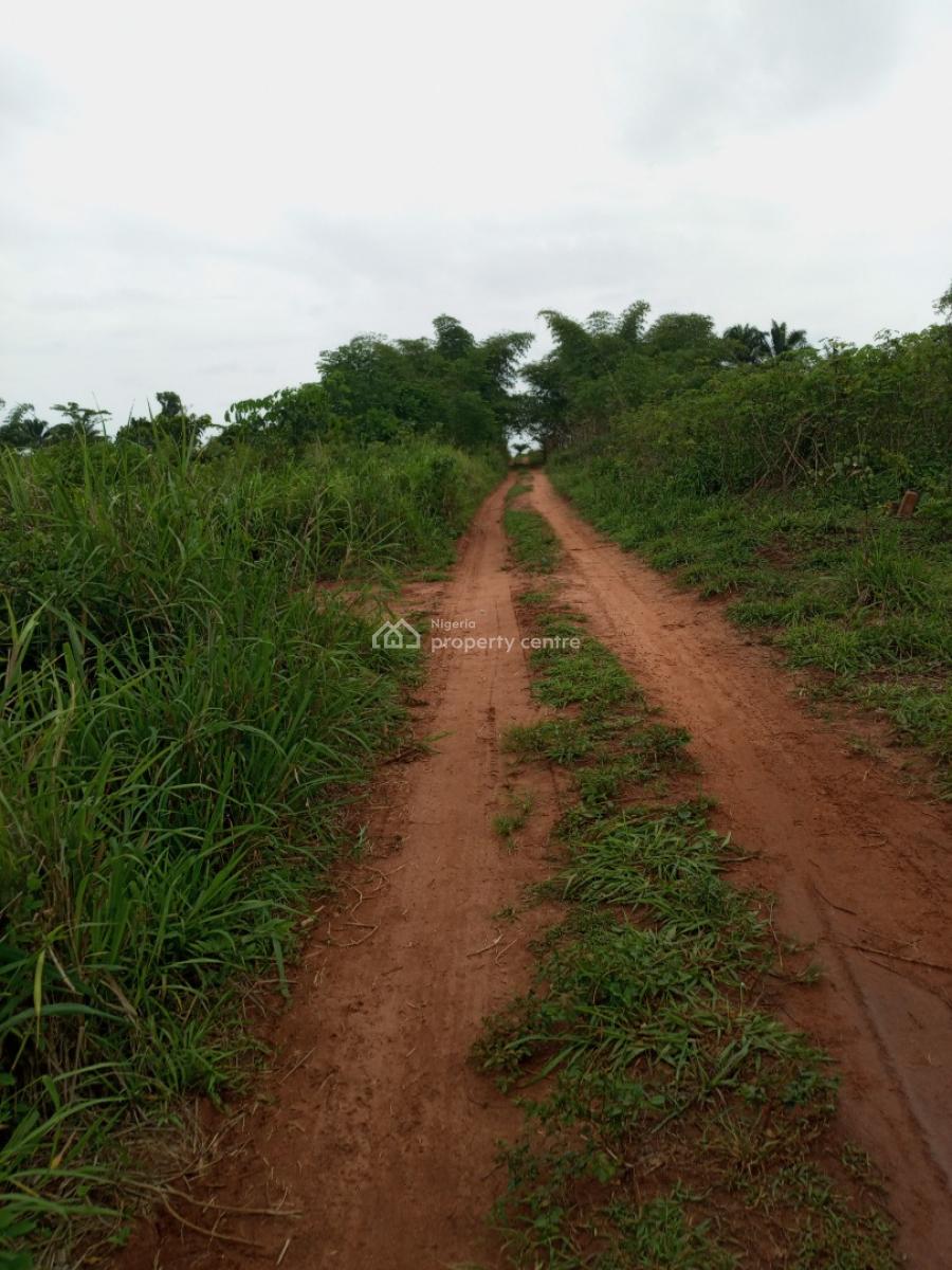 250 Acres Benin Abuja Expressway Near Egba, Benin Abuja Expressway Near Egba, Uhunmwonde, Edo, Mixed-use Land for Sale