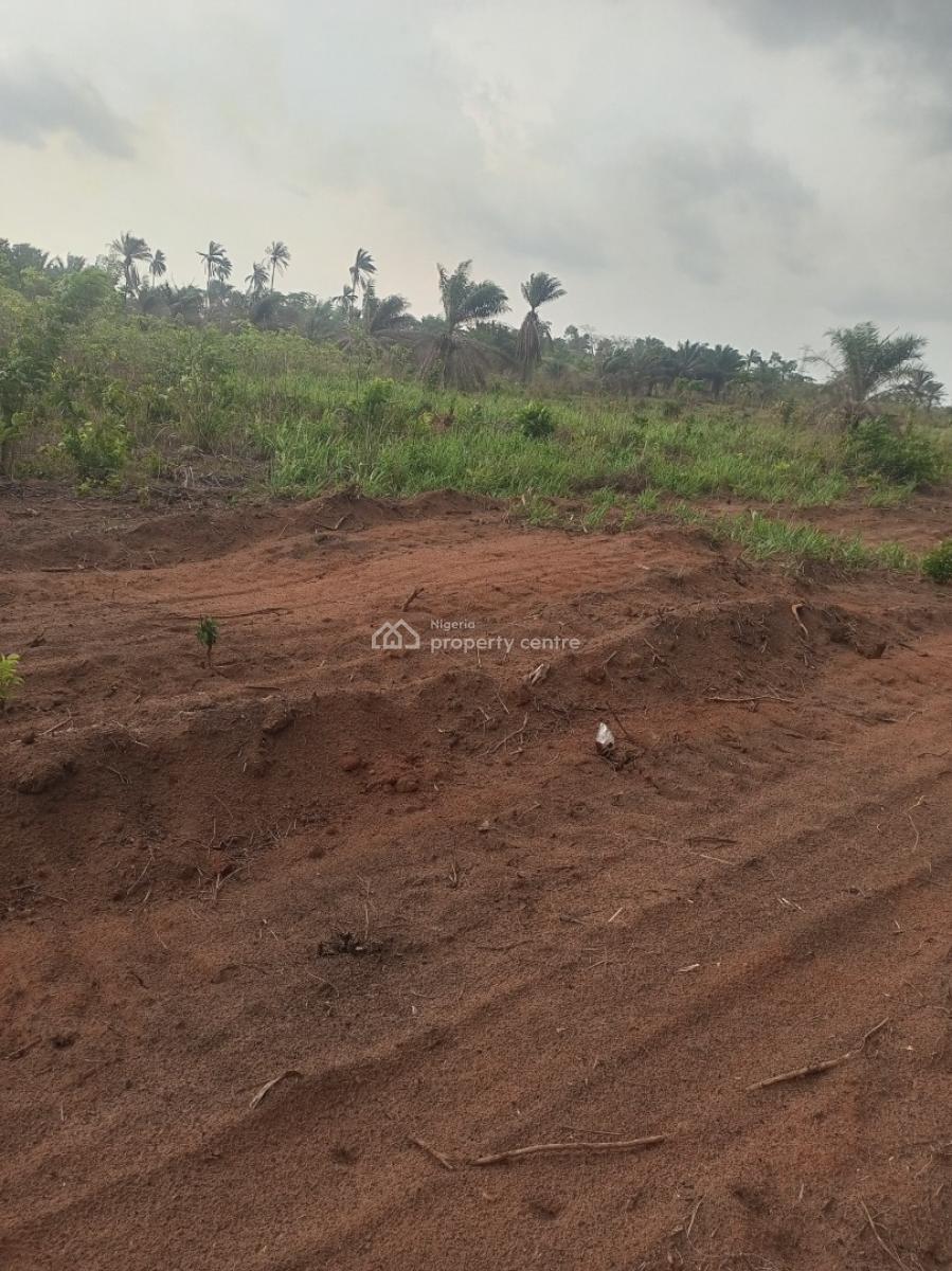 12 Plots of Land Benin Lagos Expressway By Custom Checkpoint Ekiadolor, Ewu Community Benin Lagos Expressway, Ovia South-west, Edo, Mixed-use Land for Sale
