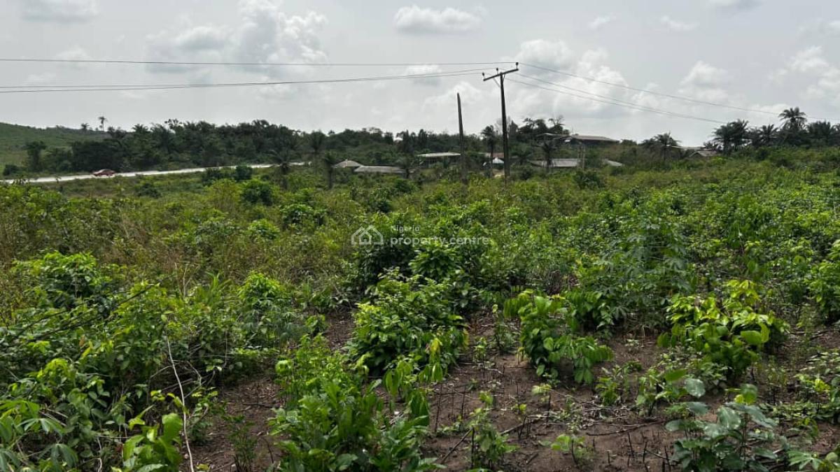 Land with Registered Survey and Instant Allocation, De Pinnacle of Rubies Villa in Ala,omu-ketu Along The Epe Expressway, Km 46, Ogun, Mixed-use Land for Sale