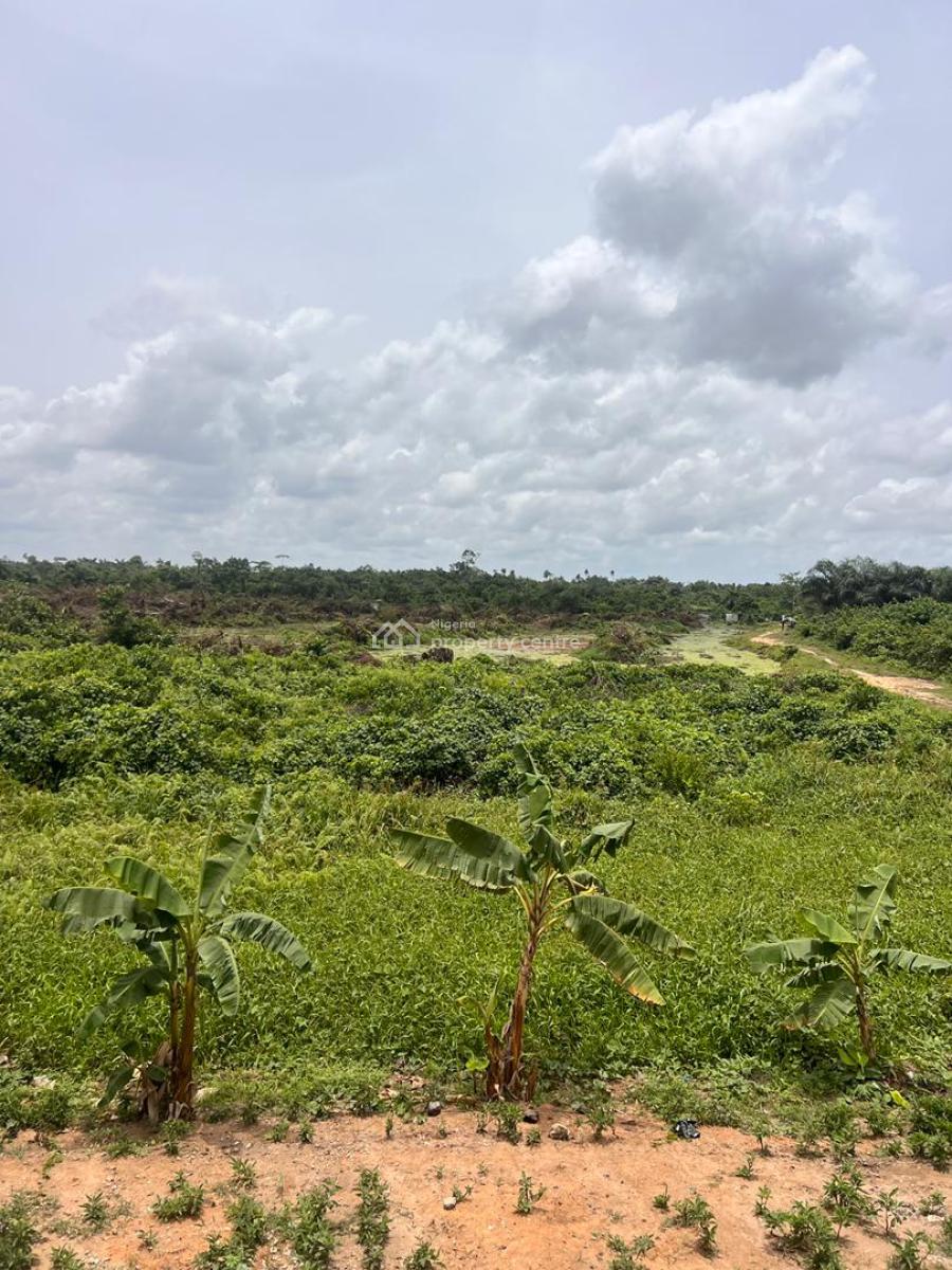 Magnificent Buy & Build Land Along The Lasu-iba Expressway, Lasu-iba Expressway,iba, Ojo, Lagos, Mixed-use Land for Sale