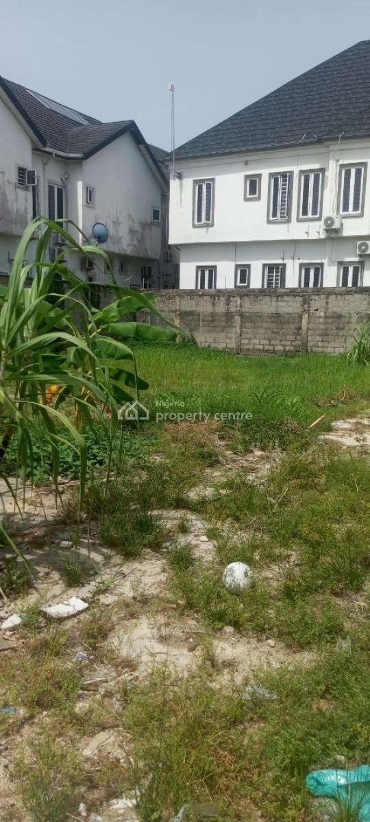 Dry Full Plot, Conservation Road, Lekki, Lagos, Mixed-use Land for Sale
