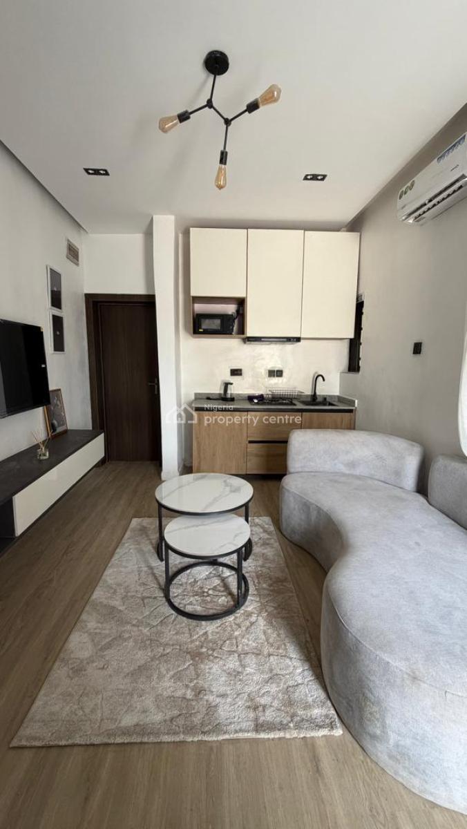 Fully Furnished Studio Apartment with Quality Roi Ready for Short Stay, Akoka, Yaba, Lagos, Flat / Apartment for Sale