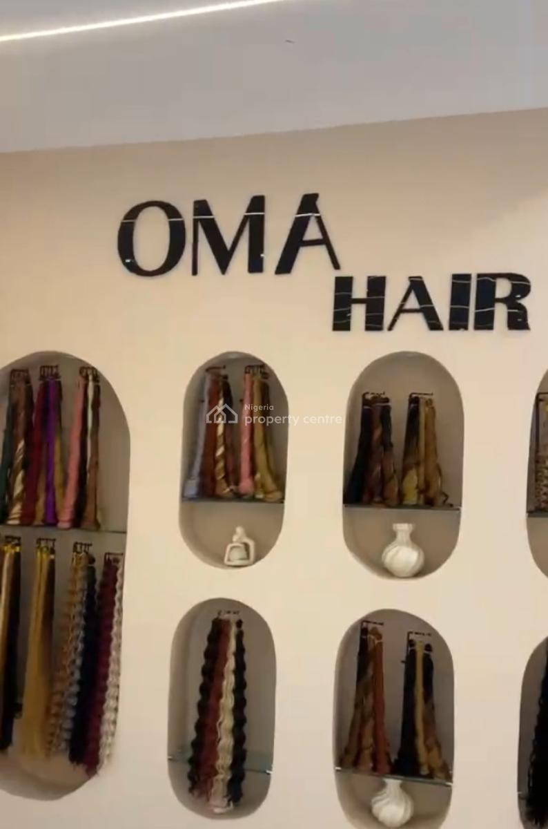 Luxury Fully Furnished &functional Spa/saloon in 5bedroom Duplex with, Jahi Gilmore Tarred Rd, Jahi, Abuja, Terraced Duplex for Rent