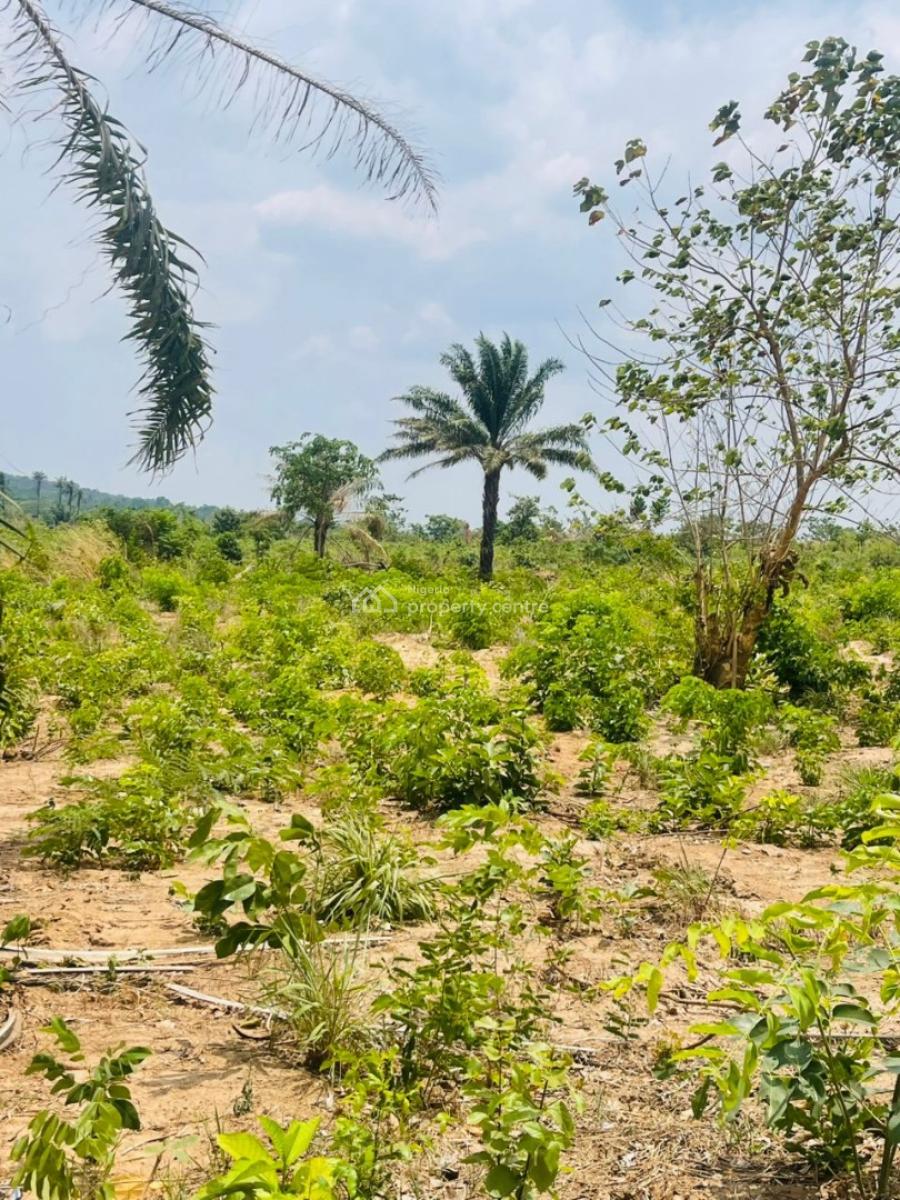 Estate Land, Garden View Estate Neke, Isi Uzo, Enugu, Mixed-use Land for Sale