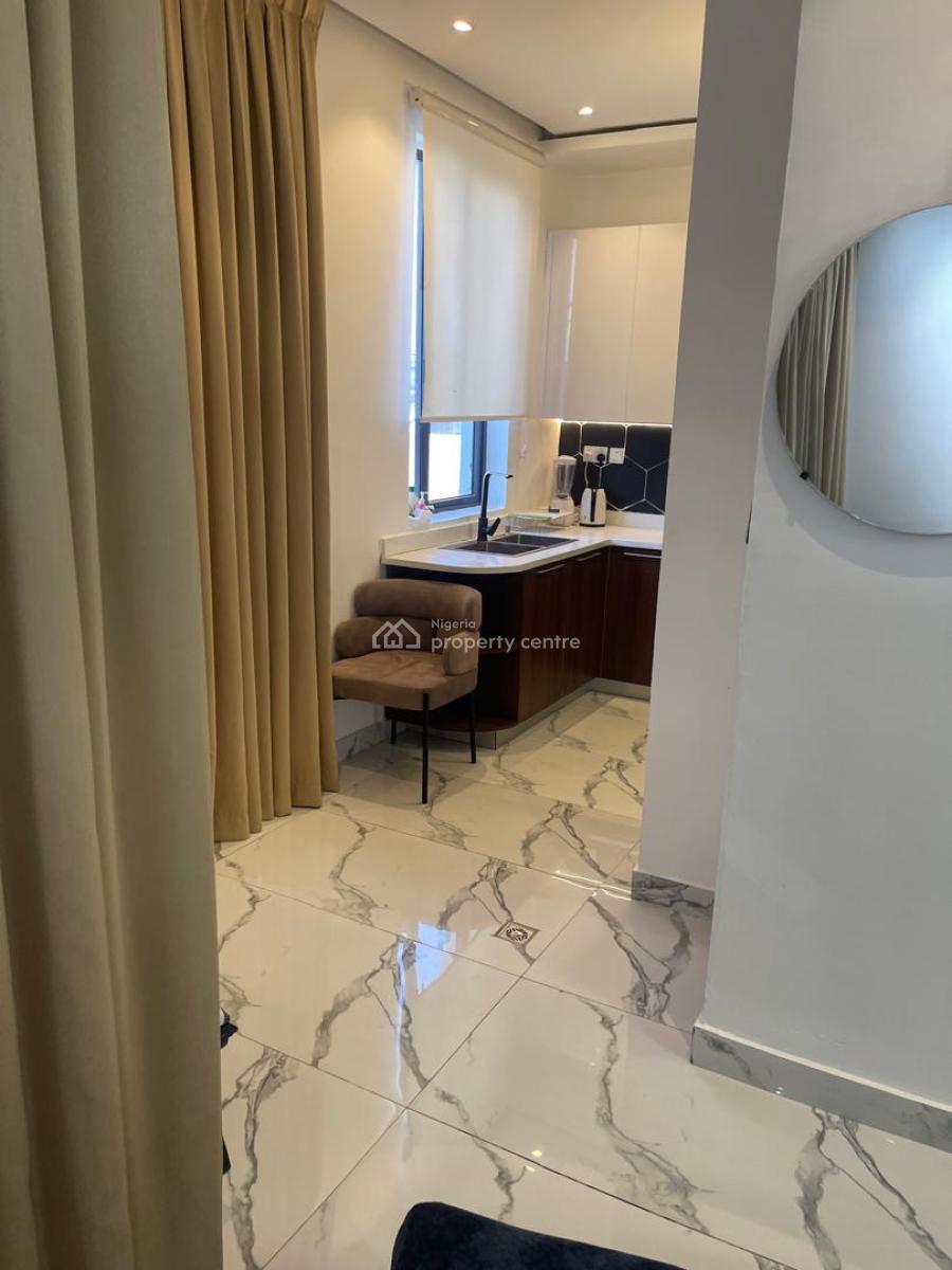 Luxury and Fully Furnished 2 Bedrooms Apartments with a Room Bq, Victoria Island (vi), Lagos, Flat / Apartment for Sale