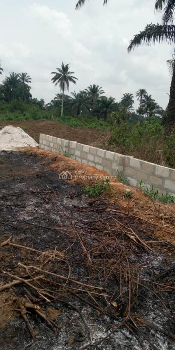 Beaconed 3-plots Land Isiokpo Near Airport  Gov. Approved Survey, Isiopko, Ikwerre, Rivers, Residential Land for Sale