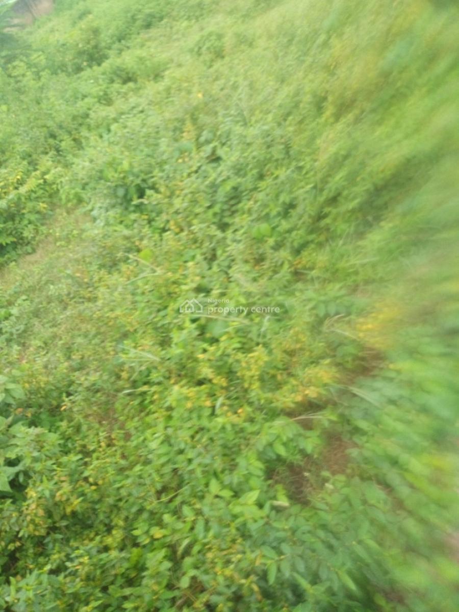 a Residential Plot of 1600sqm, By Starvile School, Jahi, Abuja, Residential Land for Sale