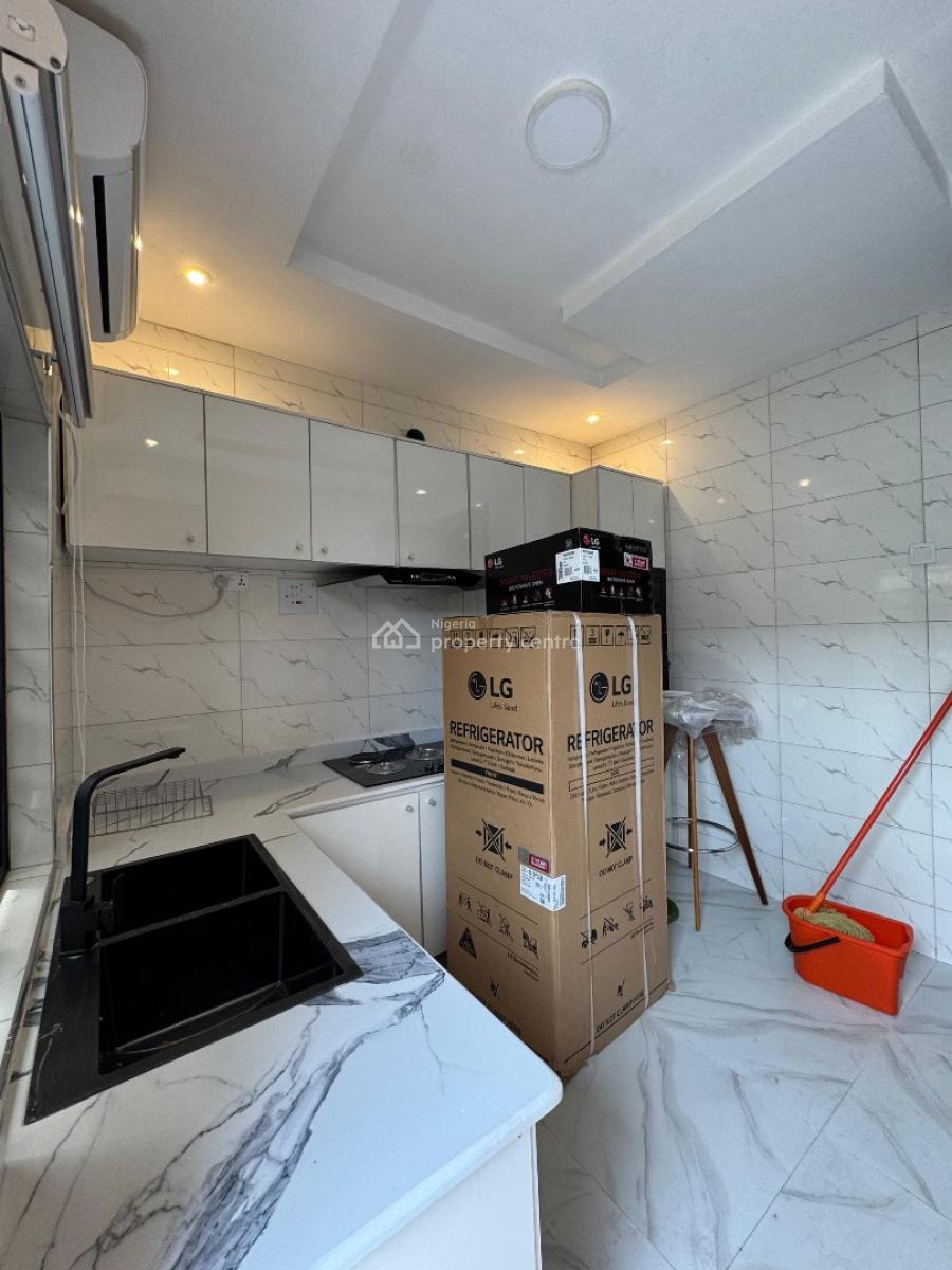 Exquisitely Built Furnished 3 Bedroom Fully Detached Duplex, Surulere, Lagos, Detached Duplex for Sale