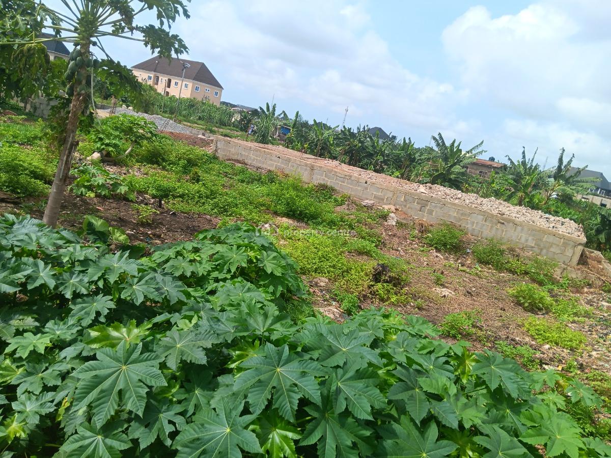Land with Register Survey, Cele Igbe Road, Ikotun, Lagos, Mixed-use Land for Sale