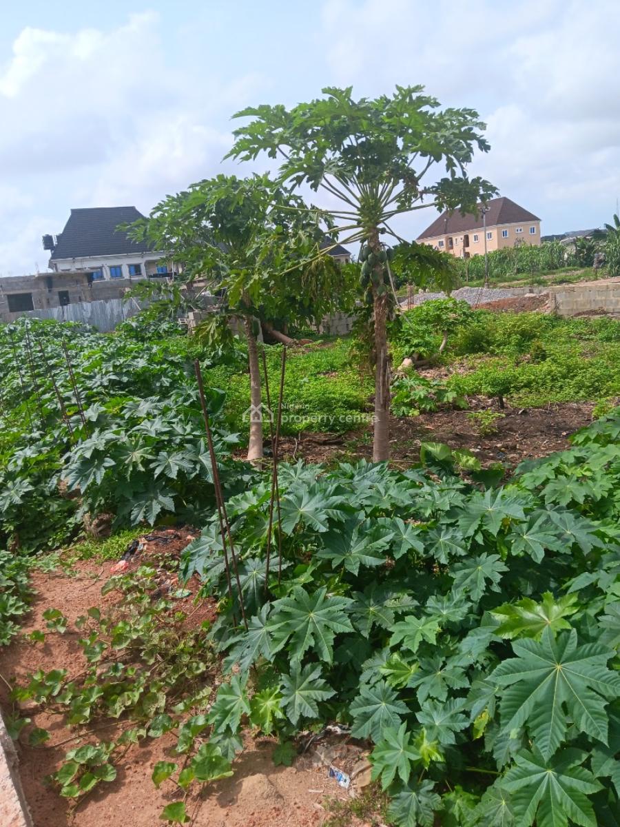 Land with Register Survey, Cele Igbe Road, Ikotun, Lagos, Mixed-use Land for Sale