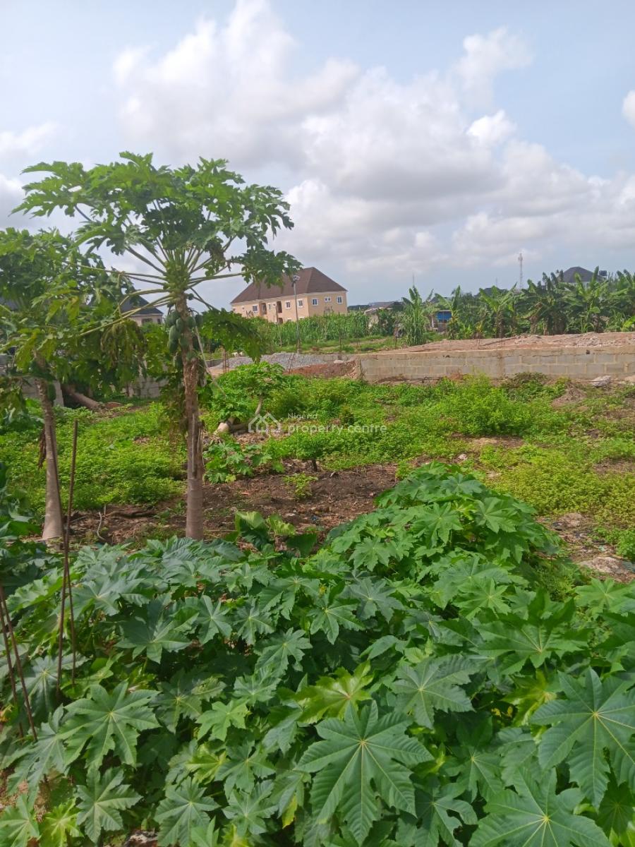 Land with Register Survey, Cele Igbe Road, Ikotun, Lagos, Mixed-use Land for Sale