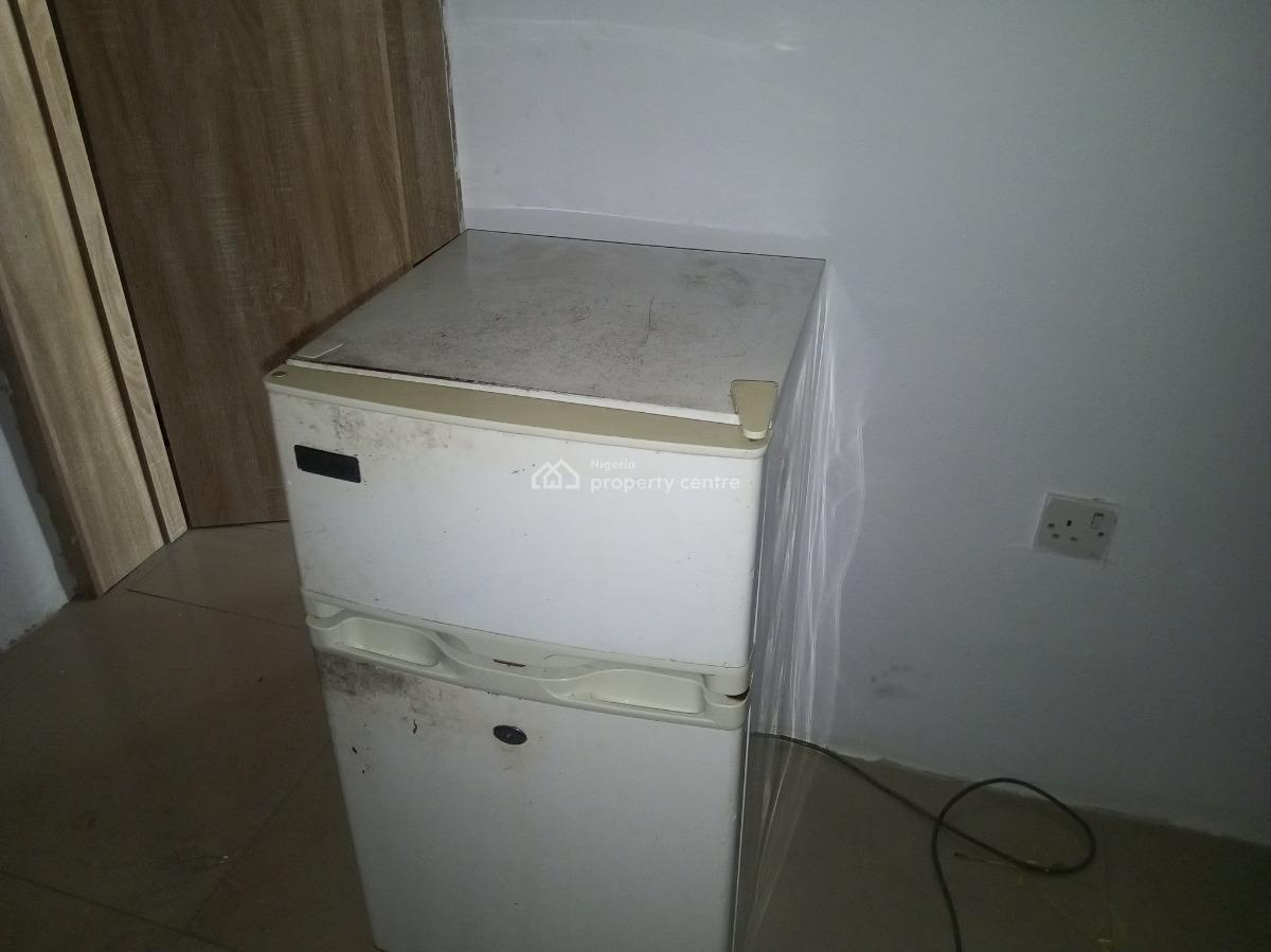 a Nice Furnished Luxury Room in a 3 Bedroom Flat, Freedom close, Begin jeffery plazac By Kilimanjaro, Ajiwe 3 ajah ajah, Ajiwe, Ajah, Lagos, Self Contain (single Rooms) Short Let