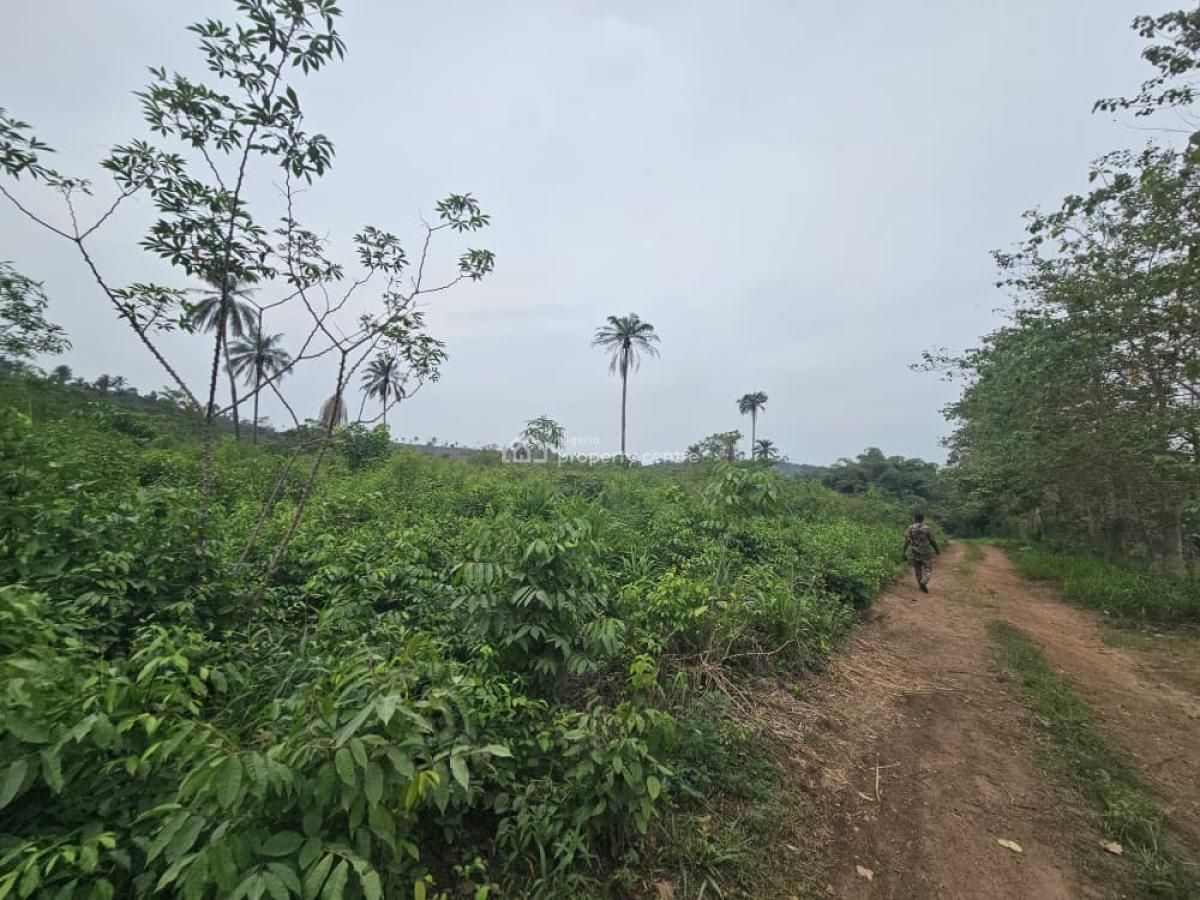 44 Acres of Farmland, Olorunda, Kobape, Abeokuta South, Ogun, Land for Sale