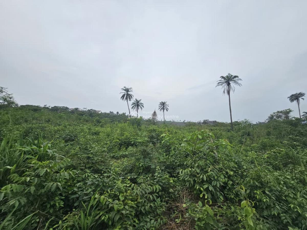 44 Acres of Farmland, Olorunda, Kobape, Abeokuta South, Ogun, Land for Sale
