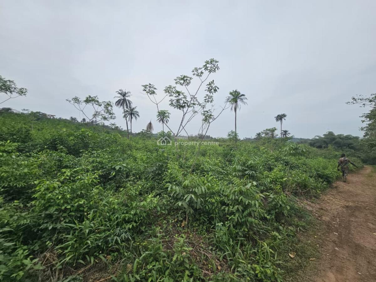 44 Acres of Farmland, Olorunda, Kobape, Abeokuta South, Ogun, Land for Sale