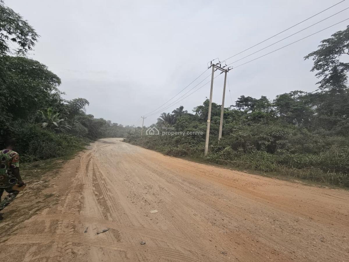 44 Acres of Farmland, Olorunda, Kobape, Abeokuta South, Ogun, Land for Sale