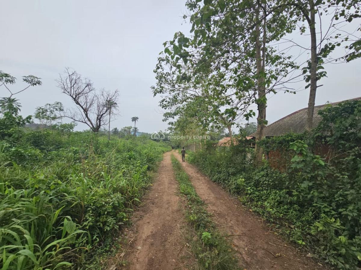 44 Acres of Farmland, Olorunda, Kobape, Abeokuta South, Ogun, Land for Sale