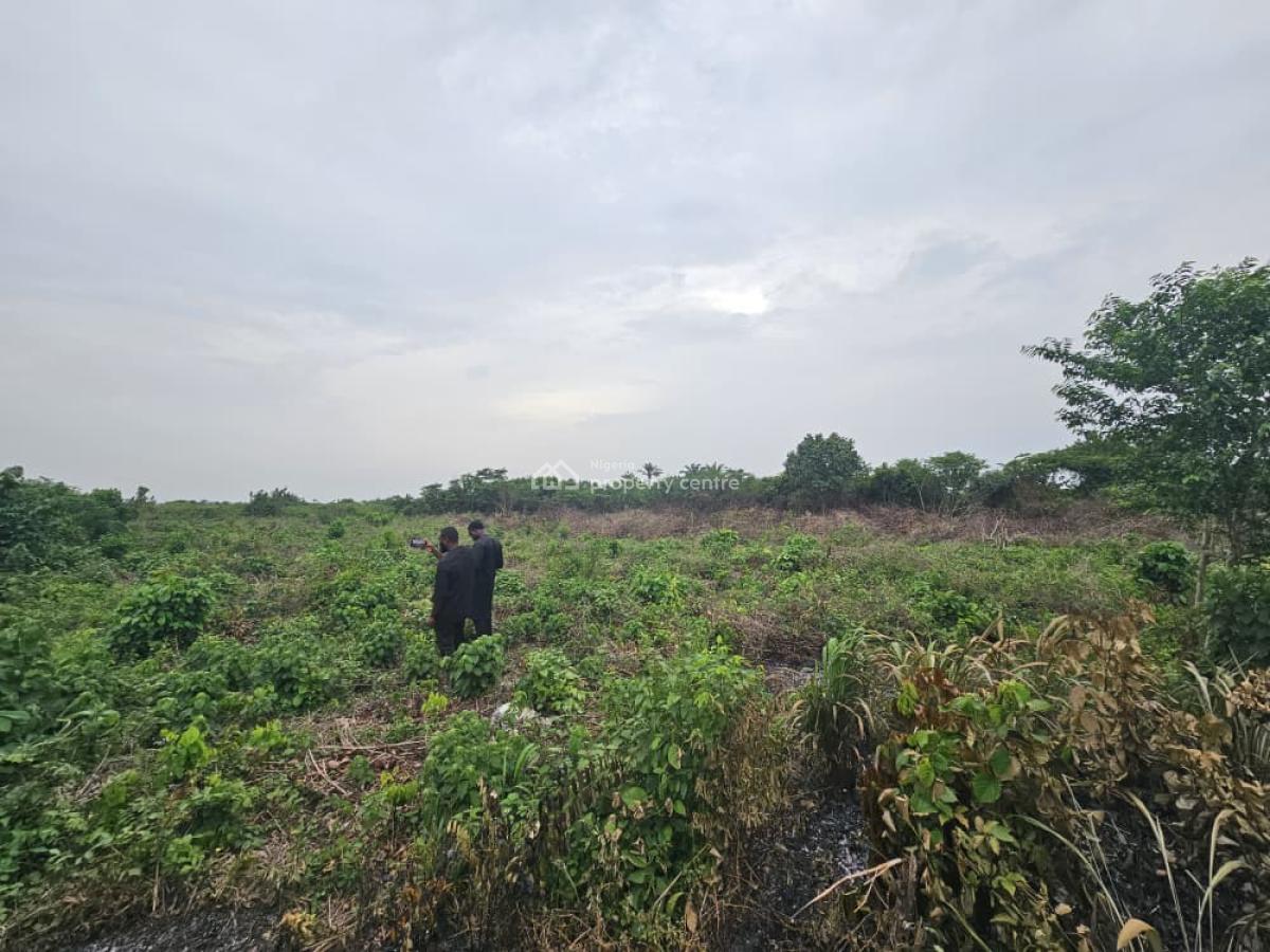 44 Acres of Farmland, Olorunda, Kobape, Abeokuta South, Ogun, Land for Sale