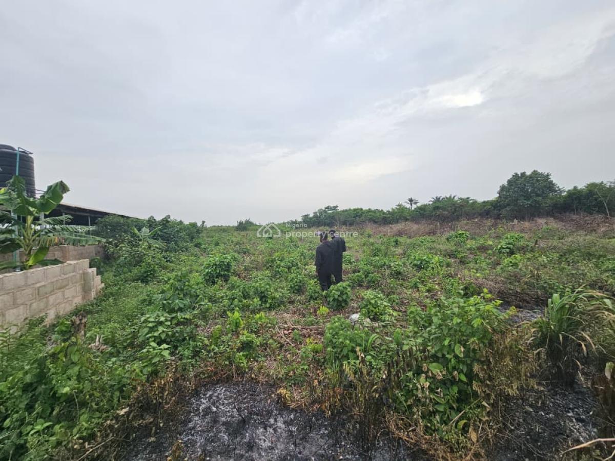 44 Acres of Farmland, Olorunda, Kobape, Abeokuta South, Ogun, Land for Sale