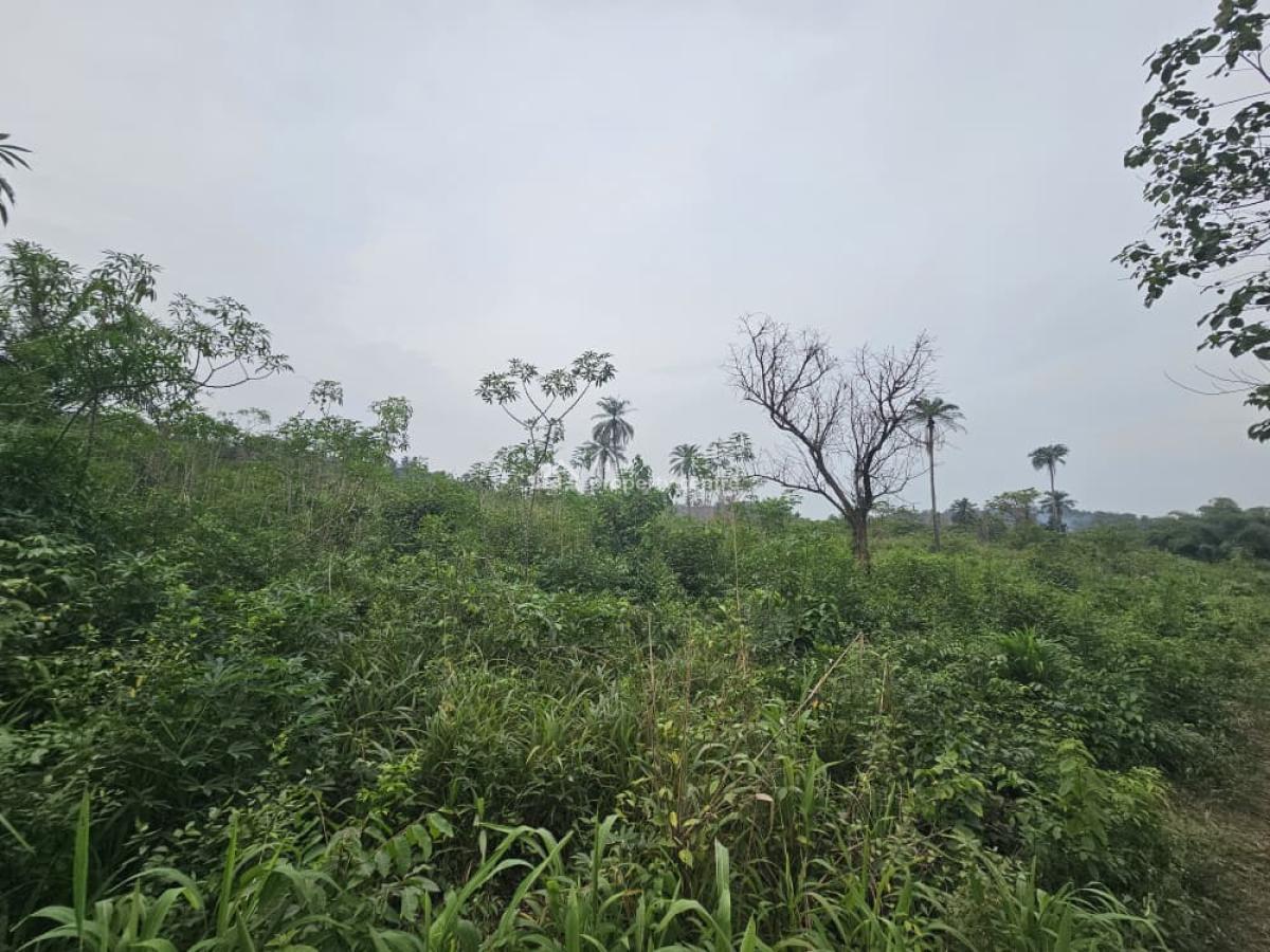 1 Acre of Farmland at Day Waterman, Kobape, Behind Day Waterman College, Kobape, Abeokuta South, Ogun, Mixed-use Land for Sale
