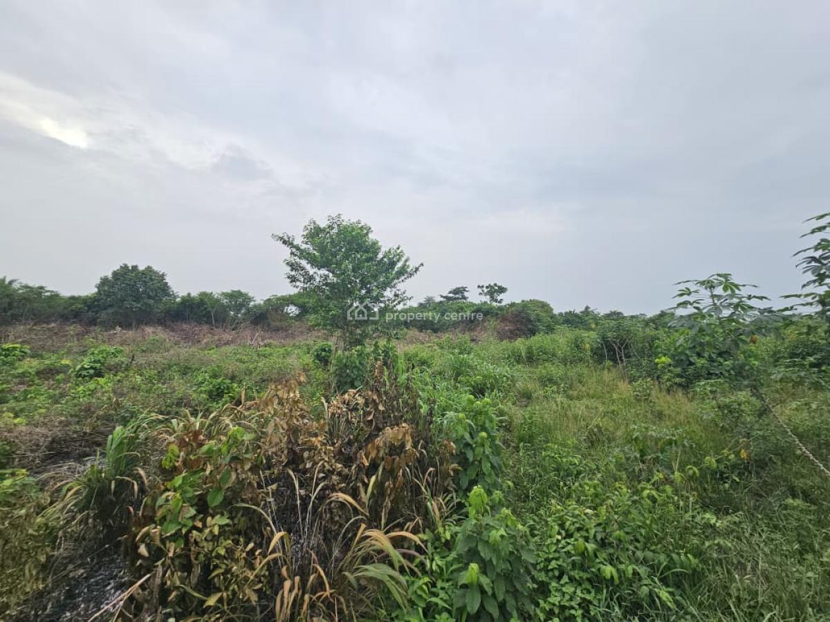 1 Acre of Farmland at Day Waterman, Kobape, Behind Day Waterman College, Kobape, Abeokuta South, Ogun, Mixed-use Land for Sale