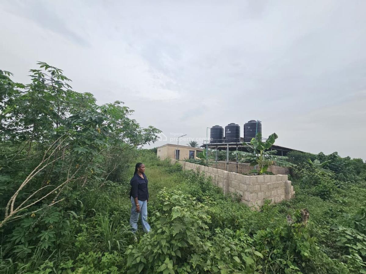 1 Acre of Farmland at Day Waterman, Kobape, Behind Day Waterman College, Kobape, Abeokuta South, Ogun, Mixed-use Land for Sale