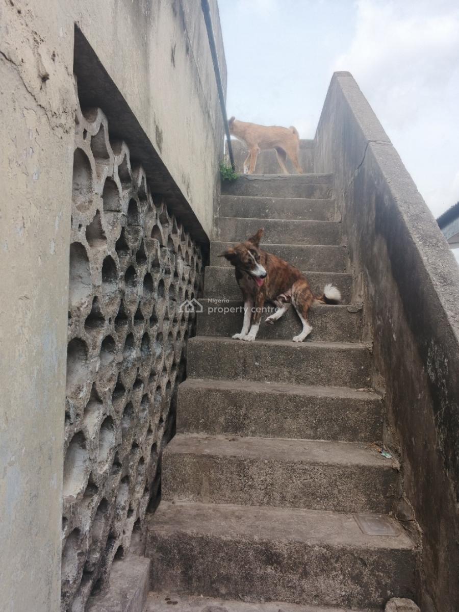 a Tenement Story Building with About 12 Rooms, Off Tonade Street, Ikeja, Lagos, Detached Duplex for Rent