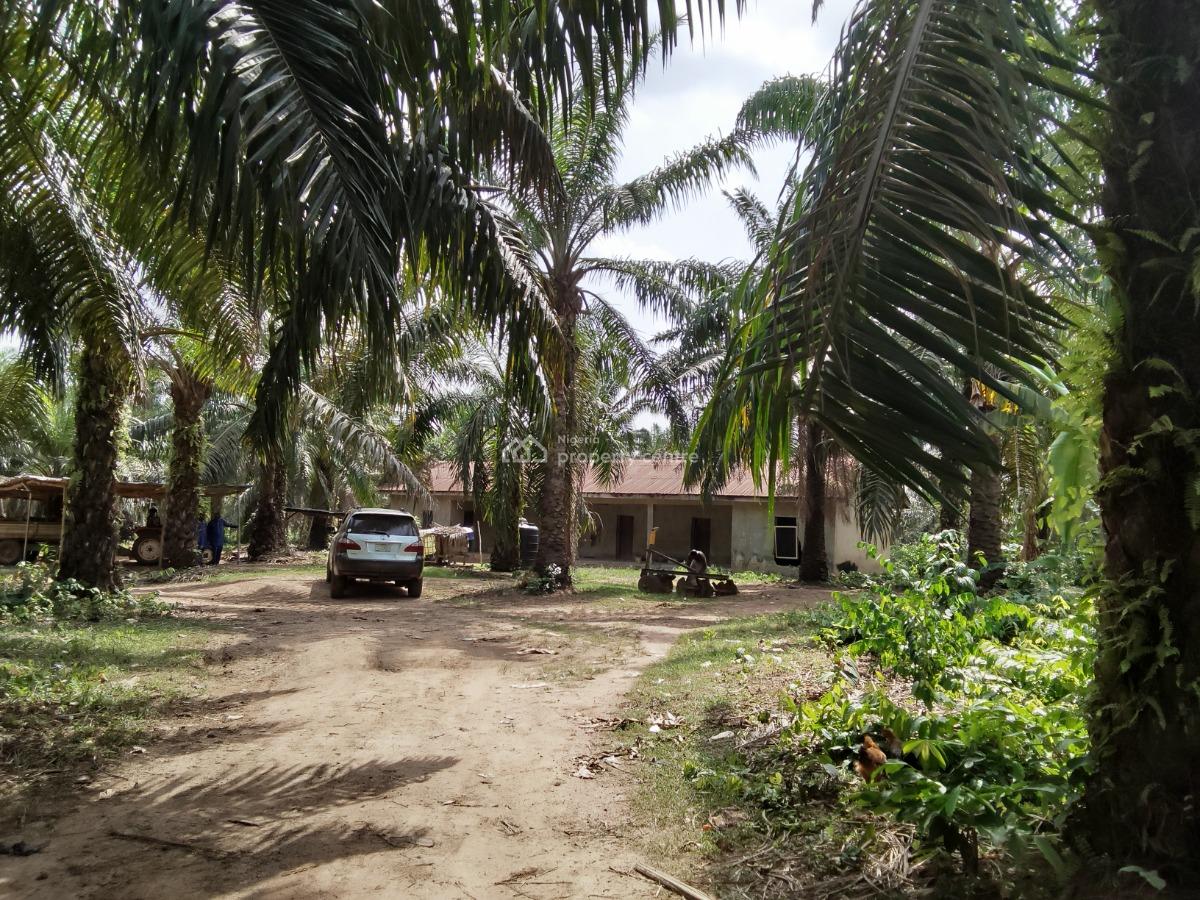 5,000 Acres of Palm-fruit Plantation Farm-land, Along Ogbere Road, Off Sagamu-ore-benin Expressway., Ijebu East, Ogun, Commercial Land for Sale