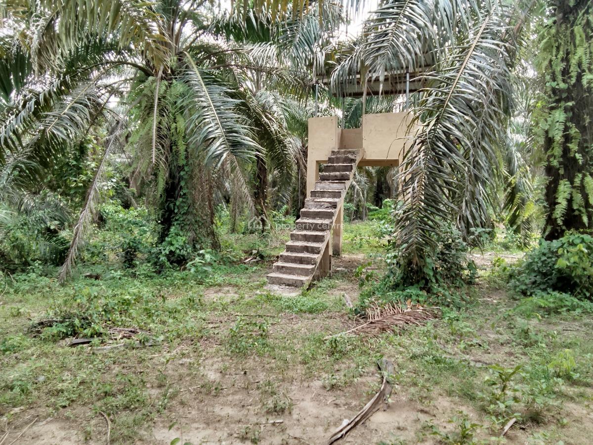 5,000 Acres of Palm-fruit Plantation Farm-land, Along Ogbere Road, Off Sagamu-ore-benin Expressway., Ijebu East, Ogun, Commercial Land for Sale