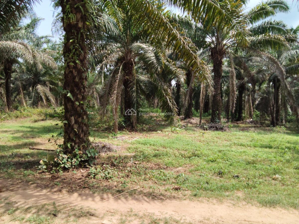 5,000 Acres of Palm-fruit Plantation Farm-land, Along Ogbere Road, Off Sagamu-ore-benin Expressway., Ijebu East, Ogun, Commercial Land for Sale