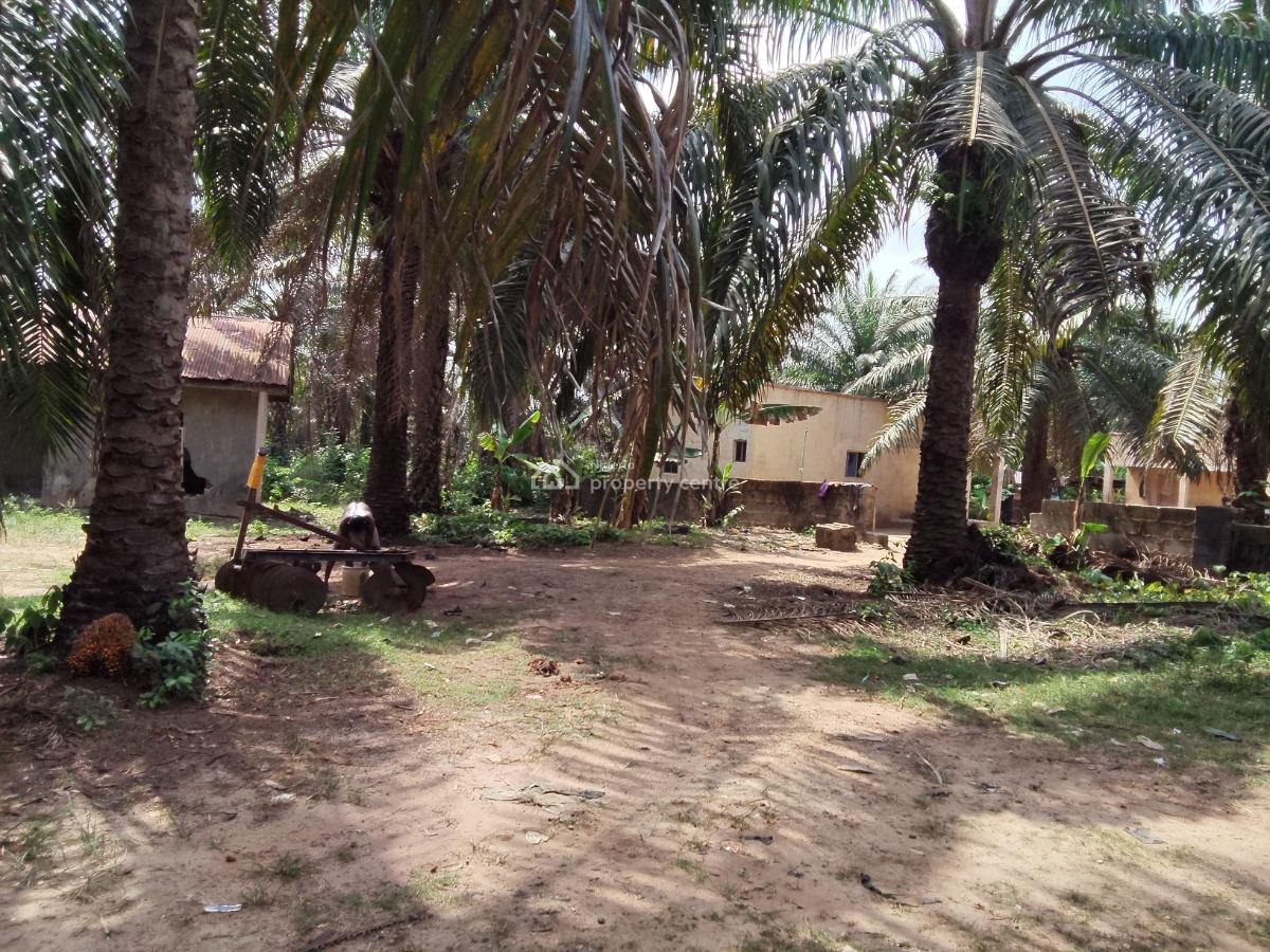 5,000 Acres of Palm-fruit Plantation Farm-land, Along Ogbere Road, Off Sagamu-ore-benin Expressway., Ijebu East, Ogun, Commercial Land for Sale