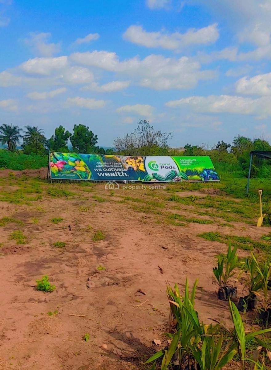 Acres & Hectares of Plantain and Palm Oil Farmlands at Iseyin Ibadan, Iseyin, Ibadan, Oyo, Land for Sale