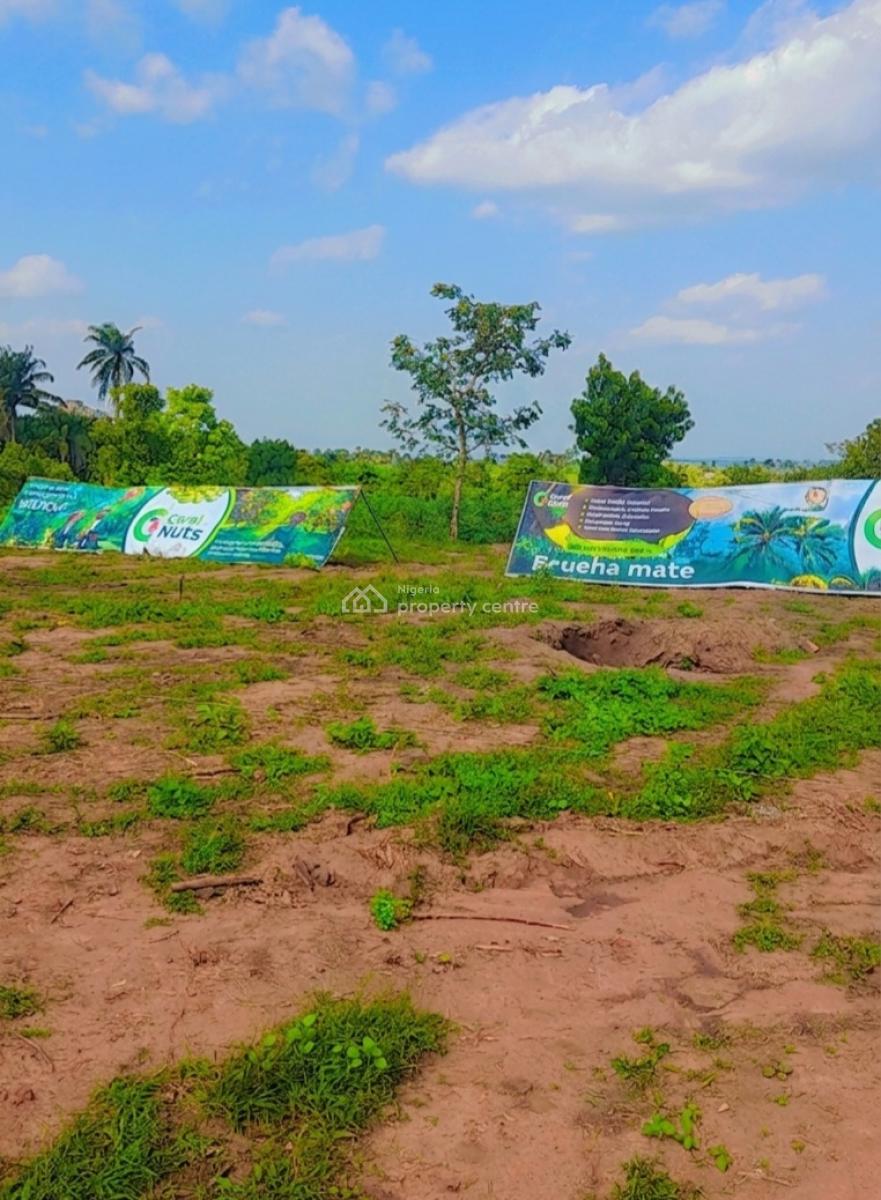 Acres & Hectares of Plantain and Palm Oil Farmlands at Iseyin Ibadan, Iseyin, Ibadan, Oyo, Land for Sale