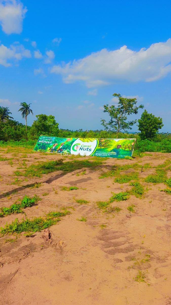 Acres & Hectares of Plantain and Palm Oil Farmlands at Iseyin Ibadan, Iseyin, Ibadan, Oyo, Land for Sale