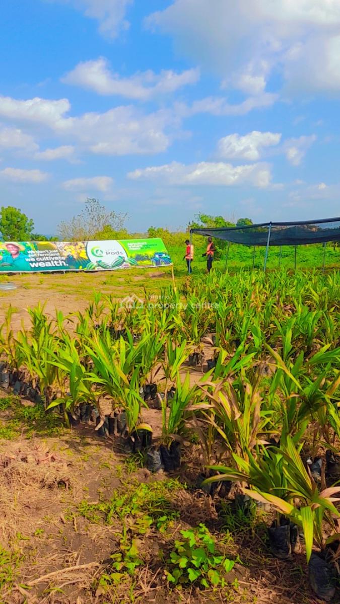 Acres & Hectares of Plantain and Palm Oil Farmlands at Iseyin Ibadan, Iseyin, Ibadan, Oyo, Land for Sale